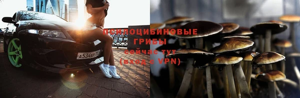 ГАЛЛЮЦИНОГЕННЫЕ ГРИБЫ Белокуриха