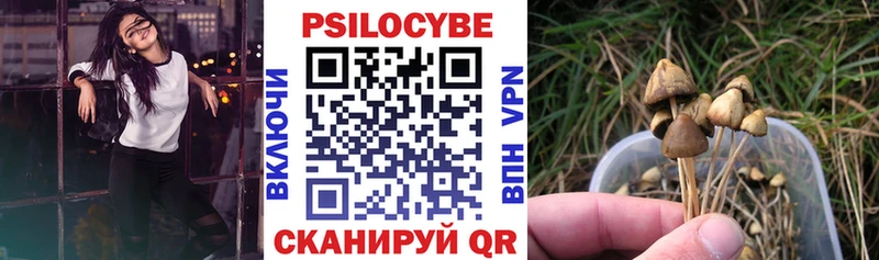 где купить наркоту Буинск Галлюциногенные грибы Psilocybe
